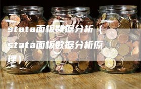 stata面板数据分析（stata面板数据分析原理）
