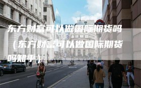 东方财富可以做国际期货吗（东方财富可以做国际期货吗知乎）