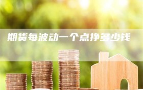 期货每波动一个点挣多少钱