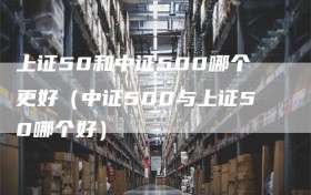 上证50和中证500哪个更好（中证500与上证50哪个好）