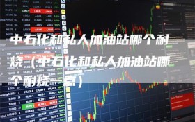 中石化和私人加油站哪个耐烧（中石化和私人加油站哪个耐烧一点）