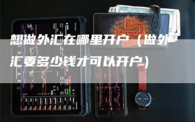 想做外汇在哪里开户（做外汇要多少钱才可以开户）