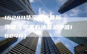 162411华宝油气最新净值（华宝石油基金净值162411）