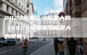 2022年期货涨幅最大的（2022年期货涨幅最大的股票）