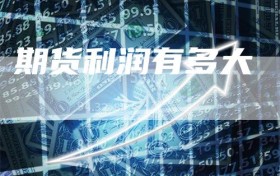 期货利润有多大