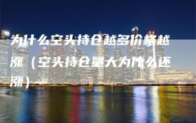 为什么空头持仓越多价格越涨（空头持仓量大为什么还涨）