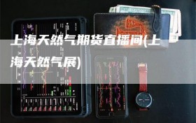 上海天然气期货直播间(上海天然气展)