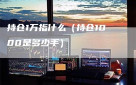 持仓1万指什么（持仓1000是多少手）