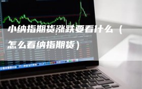 小纳指期货涨跌要看什么（怎么看纳指期货）