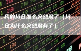 我的持仓怎么突然没了（持仓为什么突然没有了）