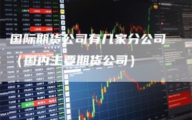 国际期货公司有几家分公司（国内主要期货公司）