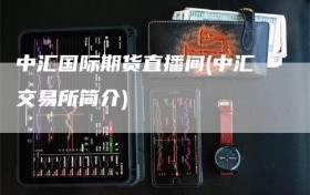 中汇国际期货直播间(中汇交易所简介)
