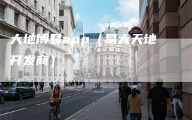 大地博易app（易大天地开发商）