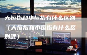 大恒指和小恒指有什么区别（大恒指和小恒指有什么区别呢）