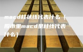 macd柱状线代表什么（股市里macd里柱线代表什么）