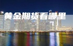 黄金期货看哪里