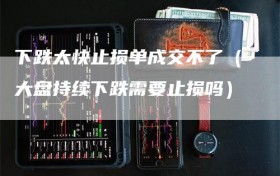 下跌太快止损单成交不了（大盘持续下跌需要止损吗）