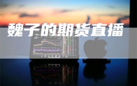 魏子的期货直播