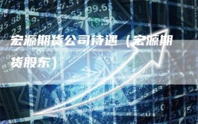 宏源期货公司待遇（宏源期货股东）