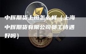 中辉期货上班怎么样（上海中辉期货有限公司员工待遇好吗）
