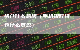 持仓什么意思（手机银行持仓什么意思）