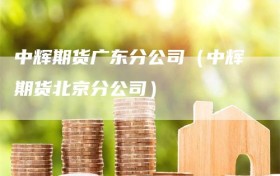 中辉期货广东分公司（中辉期货北京分公司）