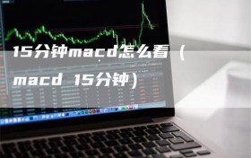 15分钟macd怎么看（macd 15分钟）