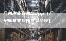 广州期货交易所app（广州期货交易所交易品种）