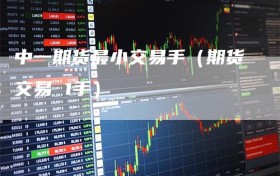 中一期货最小交易手（期货交易 1手）