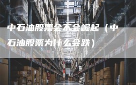 中石油股票会不会崛起（中石油股票为什么会跌）