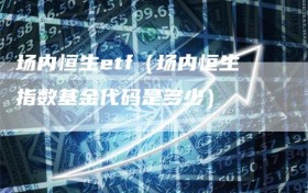 场内恒生etf（场内恒生指数基金代码是多少）