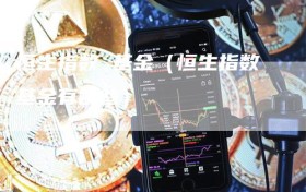 恒生指数 基金（恒生指数基金有哪些）