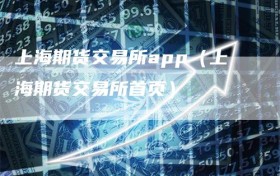上海期货交易所app（上海期货交易所首页）