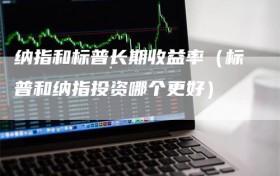 纳指和标普长期收益率（标普和纳指投资哪个更好）