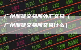 广州期货交易所外汇交易（广州期货交易所交易什么）