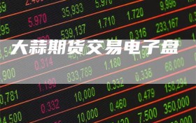 大蒜期货交易电子盘