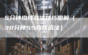 5分钟均线战法技巧图解（30分钟55均线战法）