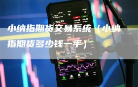 小纳指期货交易系统（小纳指期货多少钱一手）