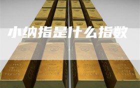 小纳指是什么指数