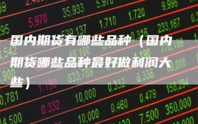 国内期货有哪些品种（国内期货哪些品种最好做利润大些）