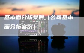 基本面分析案例（公司基本面分析案例）