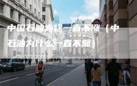 中国石油为啥一直不涨（中石油为什么一直不涨）
