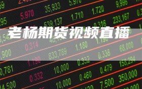 老杨期货视频直播