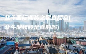 北斗国际期货之星直播室(北斗期权股是真的吗)