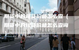 期货中的现货价格怎么查（期货中的现货价格怎么查询）