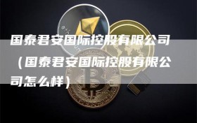国泰君安国际控股有限公司（国泰君安国际控股有限公司怎么样）