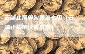 云端止损单欠费怎么用（云端止损单什么意思）
