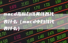 macd指标白线黄线各代表什么（macd中白线代表什么）