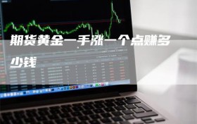 期货黄金一手涨一个点赚多少钱