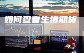 如何查看生猪期货